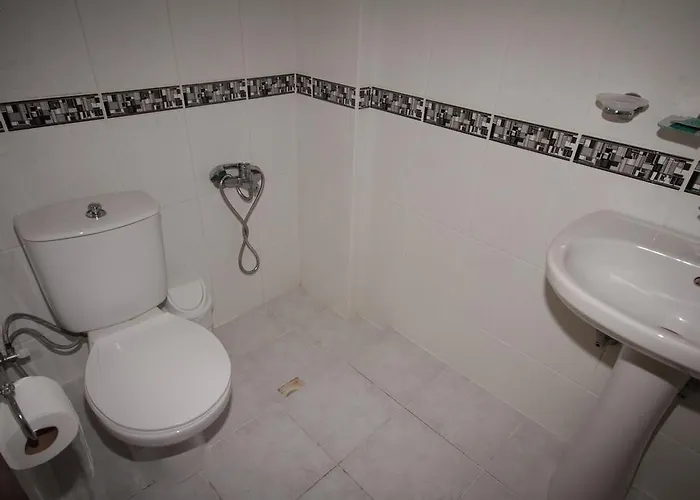 Отель Didyma Apollon *