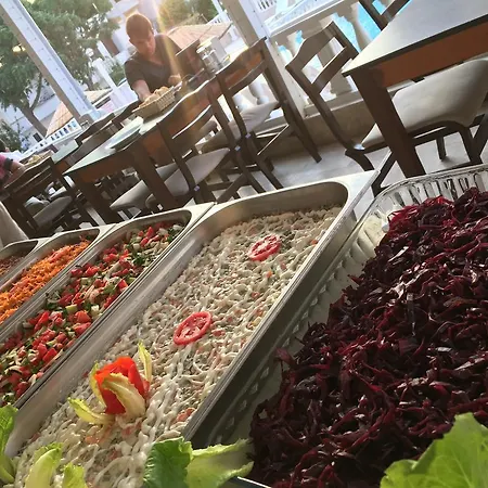 酒店 Didyma Apollon 迪迪姆